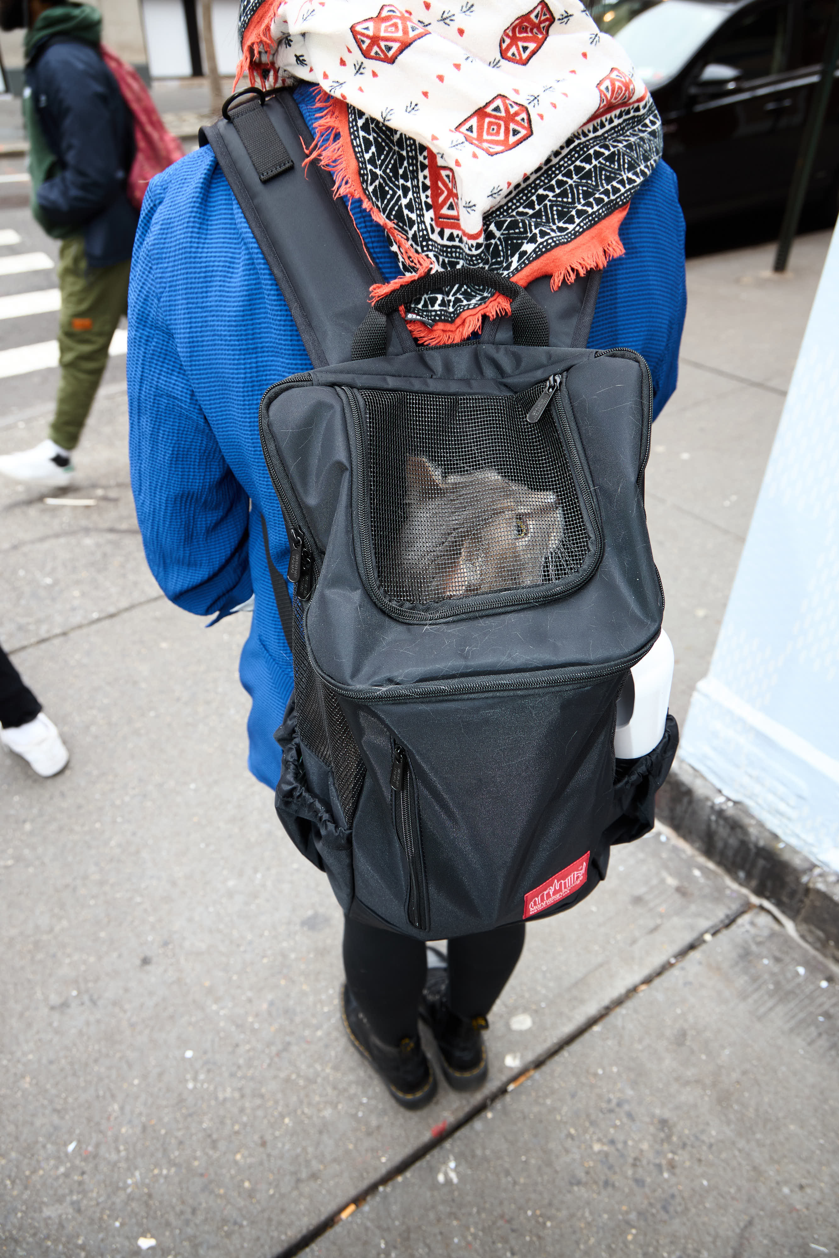Sirius Dog Backpack