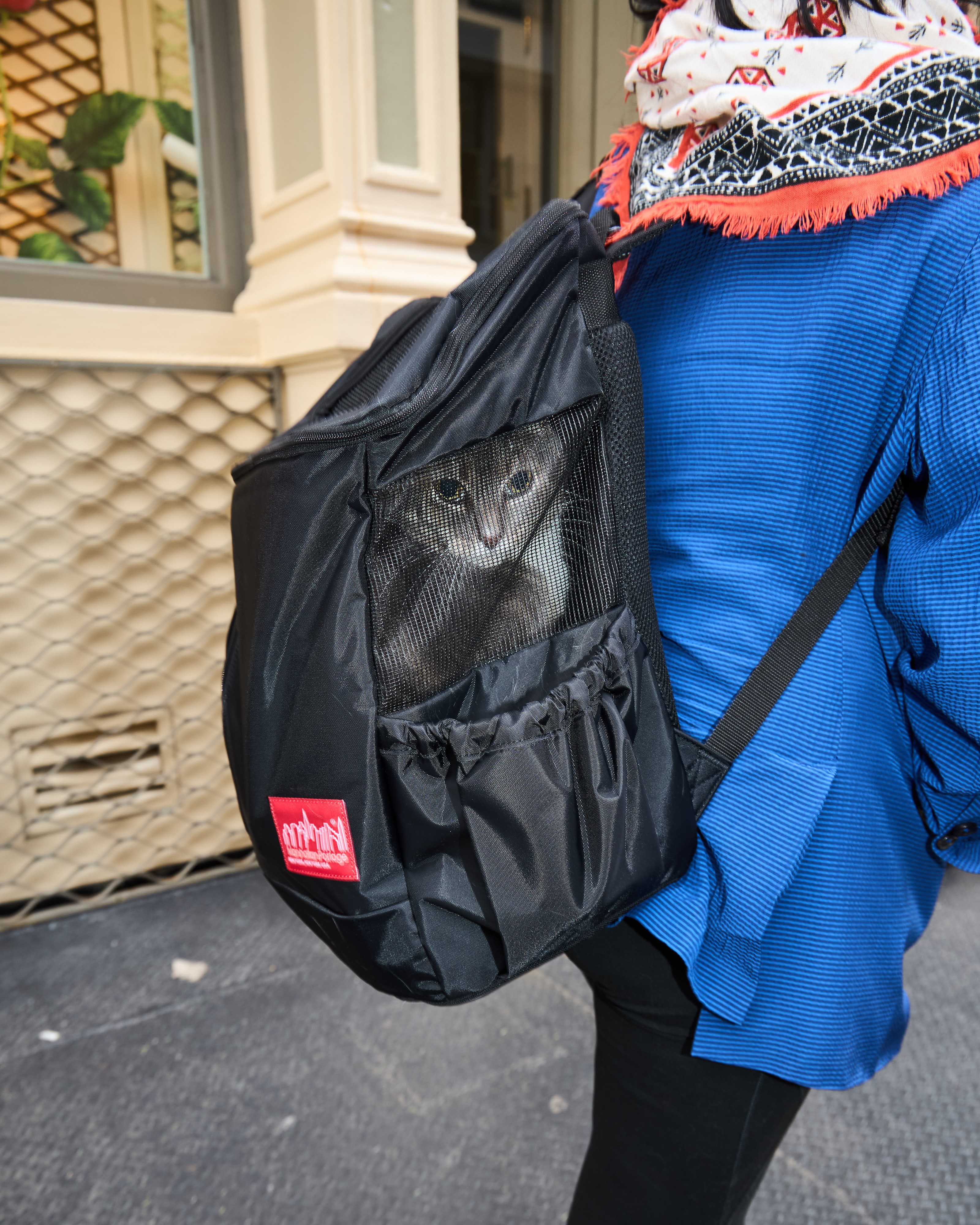 Sirius Dog Backpack